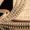 Миниатюра фото светодиодная влагозащищенная лента elektrostandard 18w/m 180led/m 2835smd белый 50m a041110 | 220svet.ru