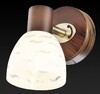 Миниатюра фото спот toplight shayla tl3730y-01bb | 220svet.ru