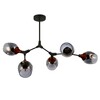 Миниатюра фото потолочная люстра evoluce ciotolla sle113402-05 | 220svet.ru