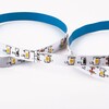Миниатюра фото светодиодная лента elektrostandard 4,8w/m 60led/m 2835smd дневной белый 5m a050168 | 220svet.ru