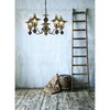 Миниатюра фото подвесная люстра arte lamp trattoria a5664lm-5ab | 220svet.ru