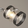 Миниатюра фото потолочный светильник reluce 04078-0.3-02 | 220svet.ru