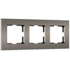 Миниатюра фото рамка из поликарбоната на 3 поста werkel slab w0032963 | 220svet.ru