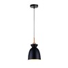 Миниатюра фото подвесной светильник toplight tl1202h-01bk | 220svet.ru