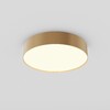 Миниатюра фото потолочный светодиодный светильник maytoni zon c032cl-36w3k-rd-mg | 220svet.ru