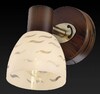 Миниатюра фото спот toplight shayla tl3730y-01bb | 220svet.ru