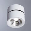 Миниатюра фото встраиваемый светильник divinare urchin 1295/03 pl-1 | 220svet.ru