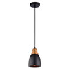 Миниатюра фото подвесной светильник arte lamp eurica a4248sp-1bk | 220svet.ru