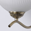 Миниатюра фото бра mw-light фелиция 347029901 | 220svet.ru