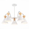 Миниатюра фото потолочная люстра evoluce modica sle125102-05 | 220svet.ru