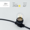 Миниатюра фото лампа филаментная шар  2 вт тепло-белая 2700к ltc fls27-2w-1ww | 220svet.ru