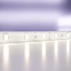 Миниатюра фото светодиодная влагозащищенная лента maytoni technical 4,8w/m 60led/m 2835smd дневной белый 5m 10140 | 220svet.ru