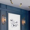 Миниатюра фото бра imperium loft catch 189449-26 | 220svet.ru