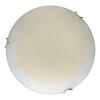 Миниатюра фото настенно-потолочный светодиодный светильник toplight tl9620y-00wh | 220svet.ru