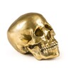 Миниатюра фото статуэтка wunderkrammer human skull seletti | 220svet.ru