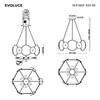 Миниатюра фото подвесная люстра evoluce sle1652-303-06 | 220svet.ru