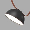 Миниатюра фото трековый ременной светильник denkirs belty flow dk5660-bk | 220svet.ru