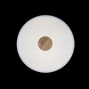 Миниатюра фото потолочный светильник loft it axel 10003/24 white | 220svet.ru