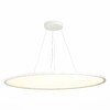 Миниатюра фото подвесной светодиодный светильник st luce st602.543.120 | 220svet.ru