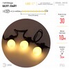 Миниатюра фото уличная светодиодная гирлянда эра 220v теплый свет erabl-ws10 б0047954 | 220svet.ru