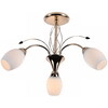 Миниатюра фото потолочная люстра на штанге reluce 1426552 | 220svet.ru