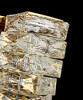 Миниатюра фото бра светодиодная 6005w/s gold/clear delight collection | 220svet.ru