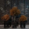 Миниатюра фото ландшафтный уличный светодиодный светильник novotech smena 359163 | 220svet.ru
