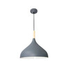 Миниатюра фото подвесной светильник arte lamp kayla a7101sp-1gy | 220svet.ru