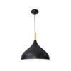 Миниатюра фото подвесной светильник arte lamp kayla a7101sp-1bk | 220svet.ru