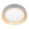 Миниатюра фото потолочный светодиодный светильник loft it coin 10202 grey | 220svet.ru