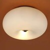 Миниатюра фото потолочный светильник eglo optica 86811 | 220svet.ru