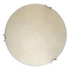 Миниатюра фото настенно-потолочный светодиодный светильник toplight jane tl9640y-00wh | 220svet.ru