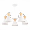 Миниатюра фото потолочная люстра evoluce modica sle125102-05 | 220svet.ru