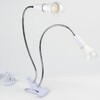 Миниатюра фото настольная лампа uniel фитолето tli-281 white e27x2 plant ul-00010305 | 220svet.ru