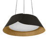 Миниатюра фото подвесной светильник светодиодный loft it lane 10370p black | 220svet.ru