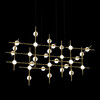 Миниатюра фото люстра molecular 30 black/gold | 220svet.ru