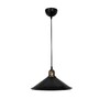 Миниатюра фото подвесной светильник toplight delilah tl1606h-01bk | 220svet.ru