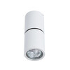 Миниатюра фото спот divinare gavroche posto 1800/03 pl-1 | 220svet.ru