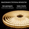 Миниатюра фото светодиодная лента apeyron 12w/m 180led/m 2835smd теплый белый 5m 00-447 | 220svet.ru