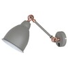 Миниатюра фото спот arte lamp braccio a2054ap-1gy | 220svet.ru