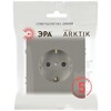Миниатюра фото розетка эра arktik 16-2102-07 с заземлением 2p+e schuko со шторками 16а-250в титан б0070430 | 220svet.ru