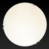Миниатюра фото настенно-потолочный светодиодный светильник toplight jane tl9640y-00wh | 220svet.ru