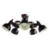 Миниатюра фото потолочная люстра arte lamp martin a5216pl-5br | 220svet.ru