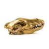 Миниатюра фото статуэтка wunderkrammer wolf skull seletti | 220svet.ru