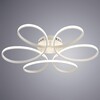 Миниатюра фото потолочный светодиодный светильник arte lamp diadema a2526pl-6wh | 220svet.ru